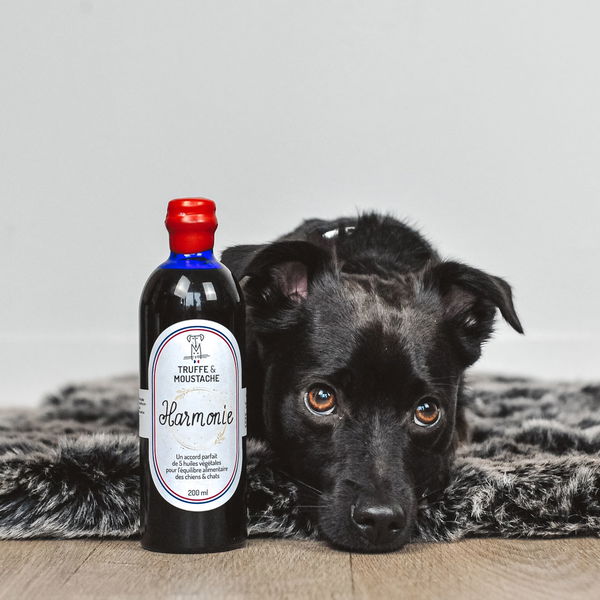 Truffe & Moustache Rastlinsko olje z omega 3 in 6 - Harmonie - 2