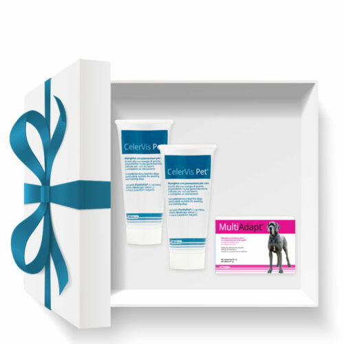 Dogoteka POWER paket za aktivne pse