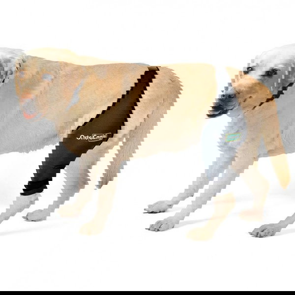 Ortocanis Kniebandage