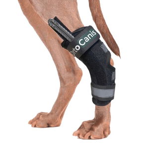 Immobilization Brace for the Hock Joint