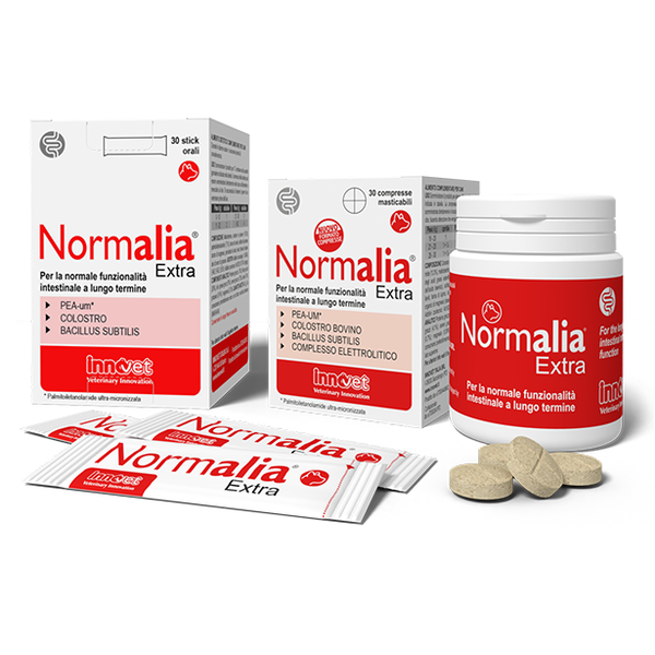 Innovet Normalia®Extra for Chronic Diarrhea Relief