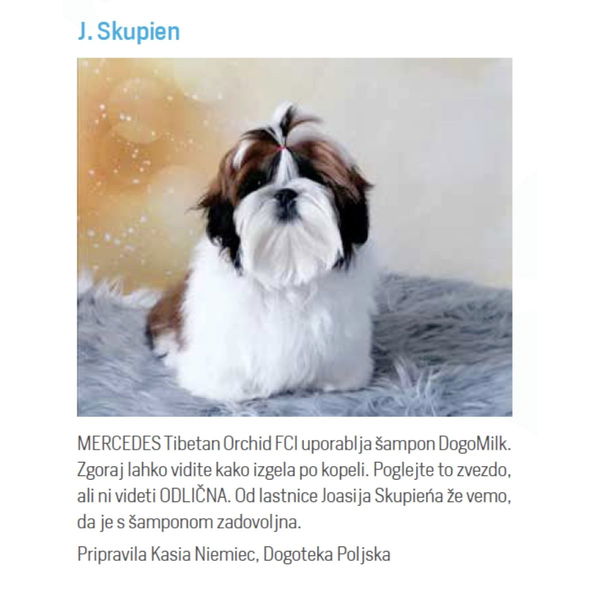 Dogoteka Šampon DOGOmilk - 3