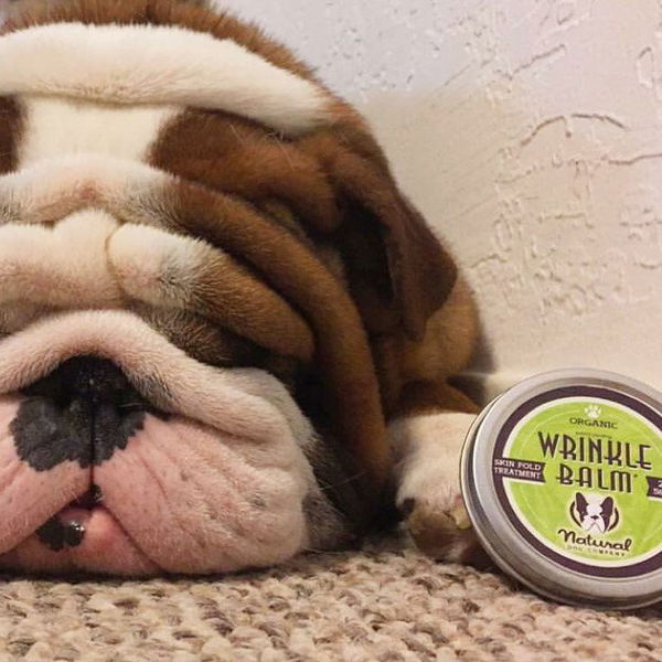 Natural Dog Company Balzam za kožne gube Wrinkle - 2
