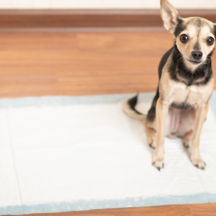 Egosan Vpojne plenične podloge Egosan - 1