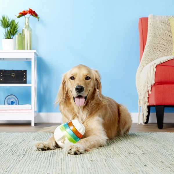 JW Interaktives Wobble-Spielzeug - Treat Tower - 4