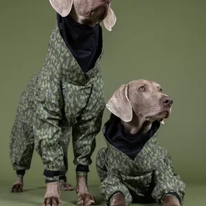 Waterproof Rain Suit for Dogs Green