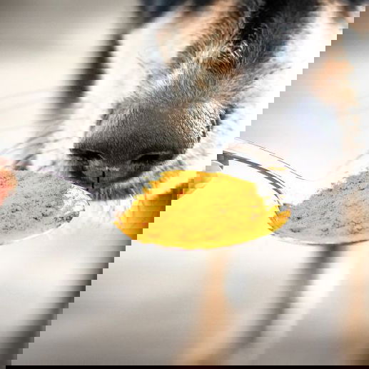 Loving Paw Ekološka kurkuma v prahu - 1