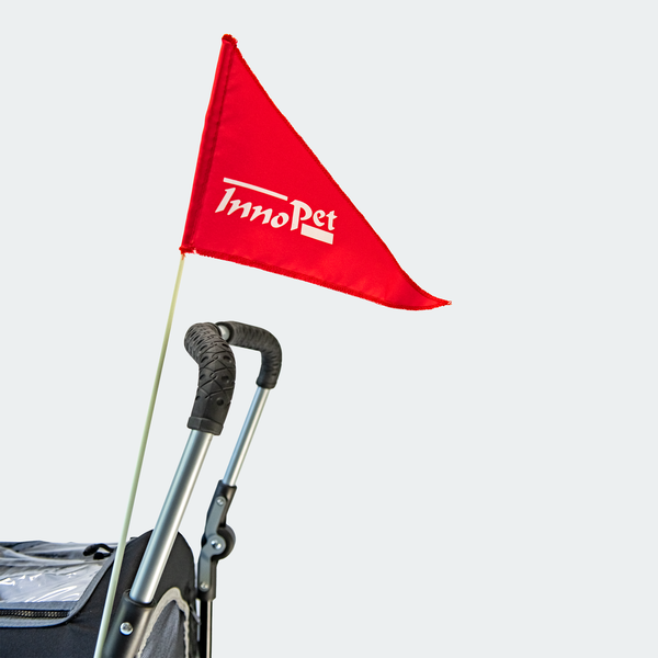 InnoPet 2v1 Voziček in kolesarska prikolica Sporty EVR - 14