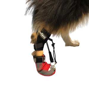 Correctional Boot for Paw Twisting