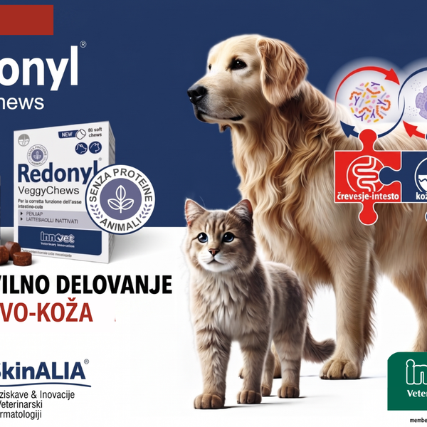 Innovet Redonyl® Veggy Chews podpora mikrobiomu in dlaki za pse z alergijami - 7