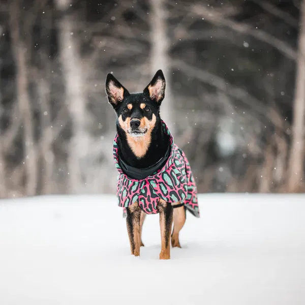 PAIKKA Reflektierende Winterjacke Jungle - 4