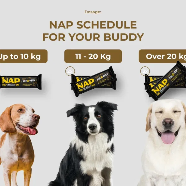 NAP Proteinska ploščica Recovery - 2