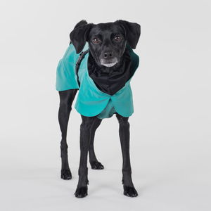 Reflective Raincoat Emerald