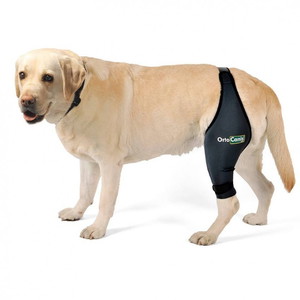 Knee Brace