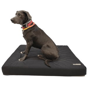 Orthopedic Bed with Memory Foam
