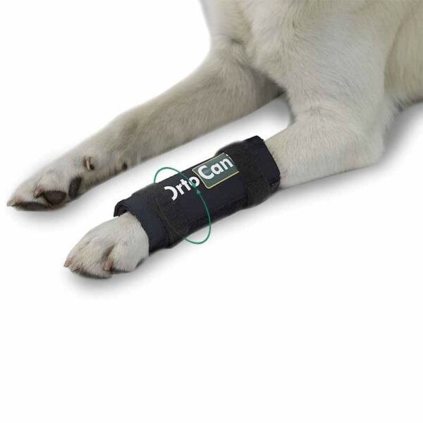 Ortocanis Imobilizačná ortéza na zápästie
