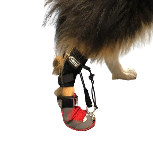 Ortocanis Correctional Boot for Paw Twisting