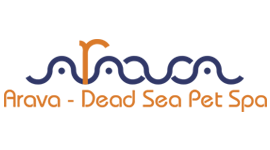 Arava