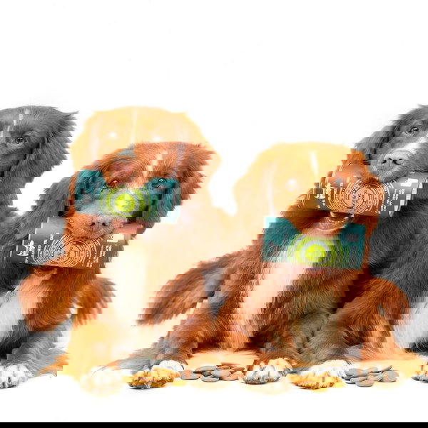 Hownd Funkcionalni priboljški s konopljo Yup You Stink - 3