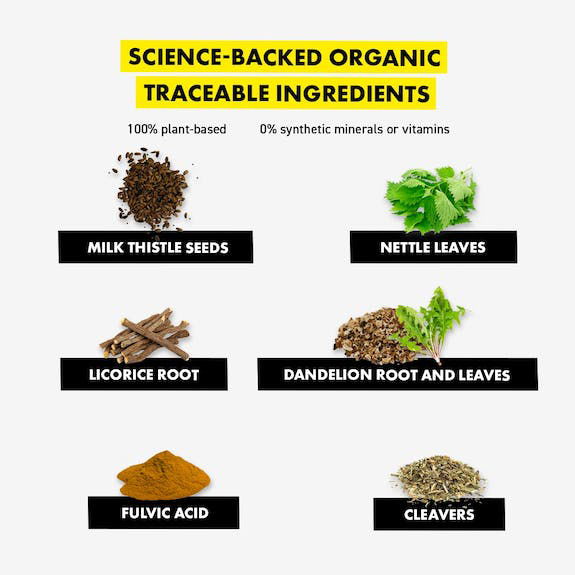 ROCKETO Pegasti badelj DETOX - 2