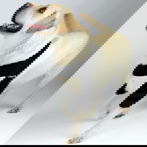 Ortocanis Obojstranný chránič na lakte