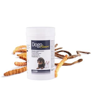 DogoSenior® nevrološka podpora za starejše pse