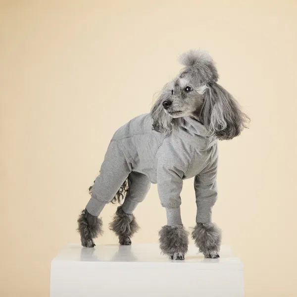 PAIKKA Recovery majica z dolgimi rokavi