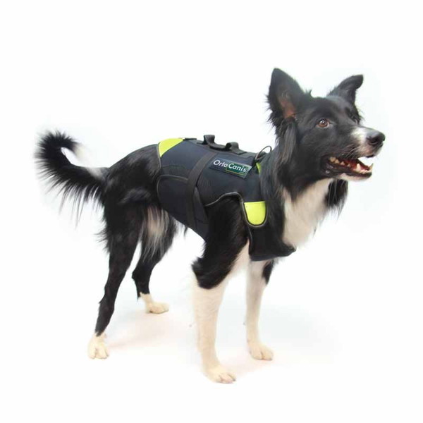 Julius-K9® 3in1 Mehka multifunkcijska oprsnica