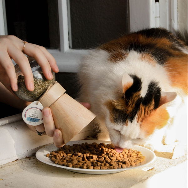 Truffe & Moustache Zeliščni posip za nego kože in dlake - Allure - 8