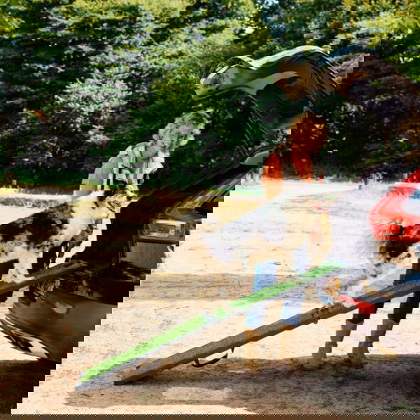 InnoPet Podporna klančina s travo - 1