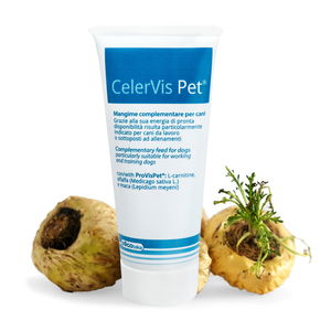 CelerVis Pet® Energy Paste