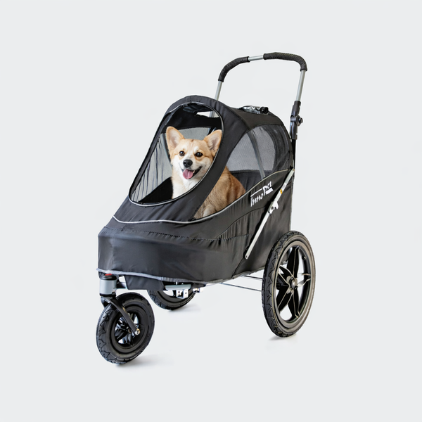 InnoPet 2v1 Voziček in kolesarska prikolica Sporty EVR - 18