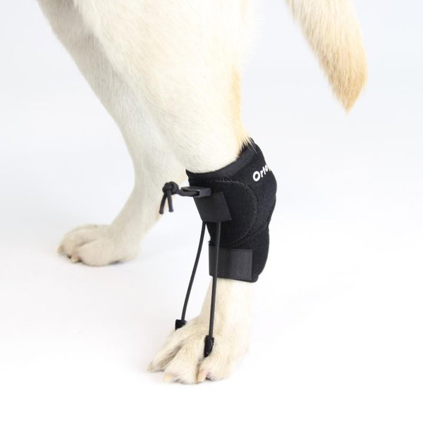 Ortocanis Toe Twist Stabilizer