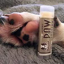 Natural Dog Company Zaščita za tačke - Pawtection - 3