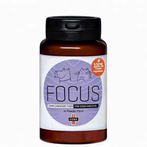 GOBA FOCUS® za podporo kognitivnim funkcijam