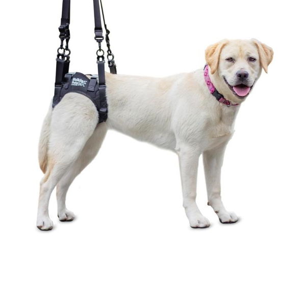 Walkin’ Pets Support Harness for Hind Legs