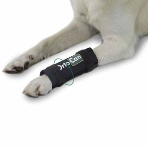 Wrist Immobilization Splint