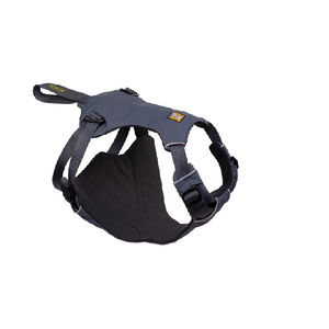 Load Up Harness for Safe Travel