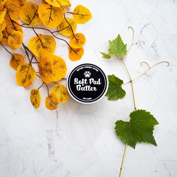 Dogoteka Soft Pad Butter Ointment - 4