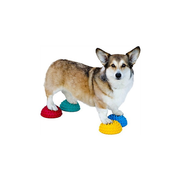 Ortocanis Rehabilitation Half Ball Togu Senso Igloo - 2