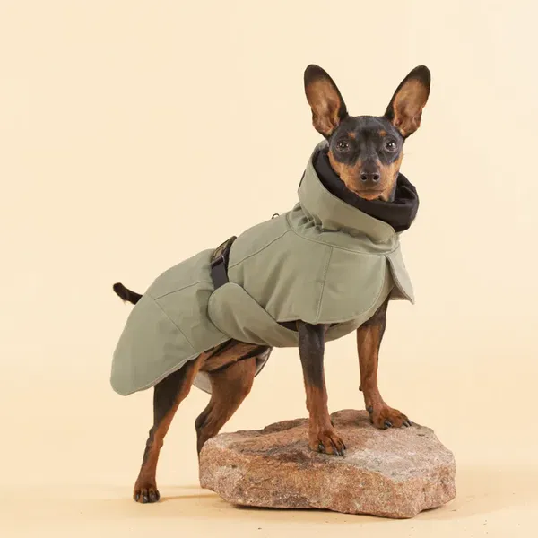 PAIKKA Odsevni zimski plašč Olive