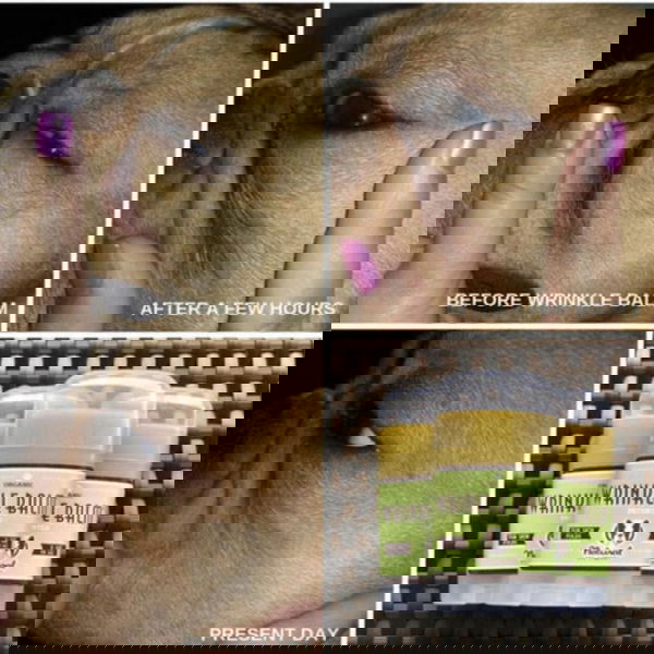 Natural Dog Company Balzam za kožne gube Wrinkle - 5