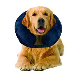 Aufblasbarer Veterinärkragen