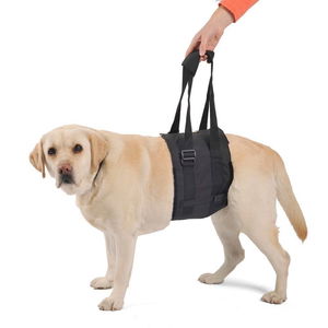 Support Harness for Body