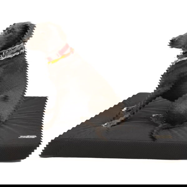 Ortocanis Orthopädisches Hundebett mit Memory-Schaum