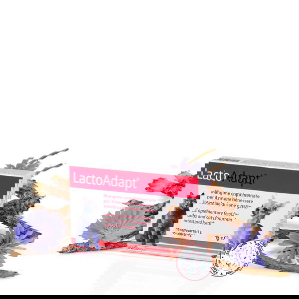 Dogoteka LactoAdapt® za urejanje prebave - 1