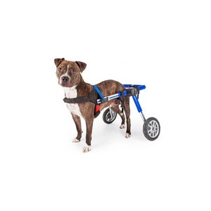 Adjustable Wheelchair for Dogs
