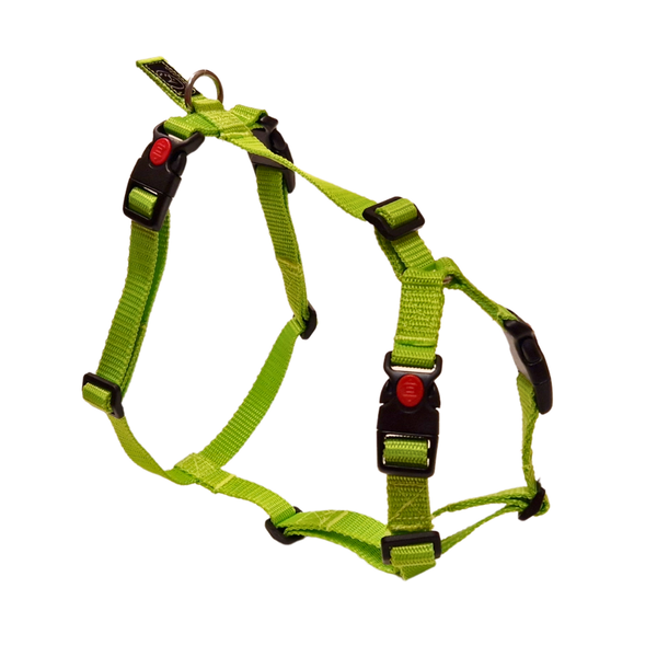 Canuzzo H-Geschirr mit seitlichem Verschluss - 2