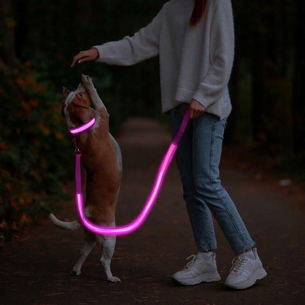 Kenny's Dog Boutique Glow up - LED Set for Safe Walks in the Dark - 2