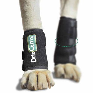 Wrist Brace